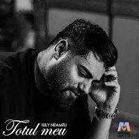 Iuly Neamtu — Totul Meu (Balkanic Version) Ft Ministerul Manelelor — обложка